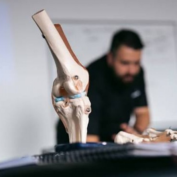 What Happens on a Sports Massage Course? What to Expect Day-to-Day
