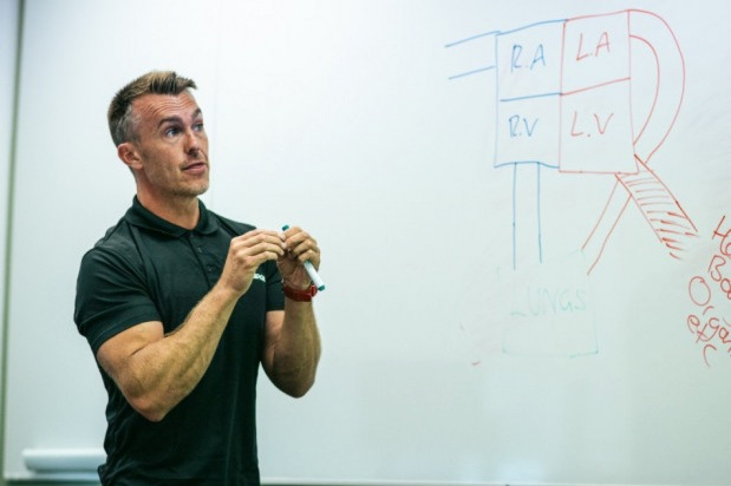 Sports Massage Course Funding: How to Pay for Your Level 3 and Level 4 Qualification